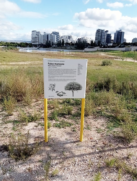 Galeria img medio7